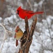 Foto de Lori Gratner
