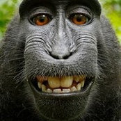 Tomas Remotigue's photo
