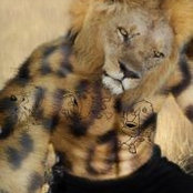 Ljnk Hoang's photo