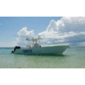 Tim Short's photo