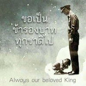 Chayanid Chinvetkitvanit's photo
