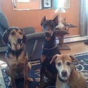 Clare Eidenweil-Munster's photo