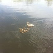 Foto von Elham Al-Shorman