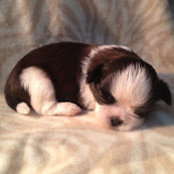 Katherine Jia's photo