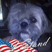 Jan Wilson's photo