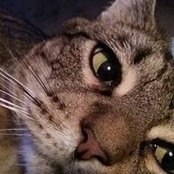 Kim Dupuis's photo