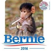 Rex Philpot's photo