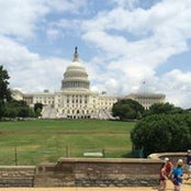 Sara Narges's photo