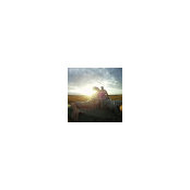 Davis Berg's photo