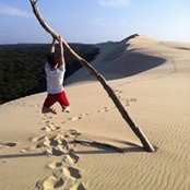 Paul Scalbert's photo