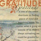 Dawn Dorsey's photo