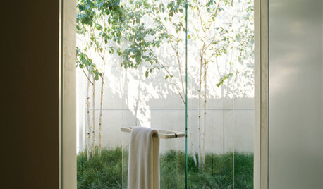 Showers Without Borders: Bring the Outside In