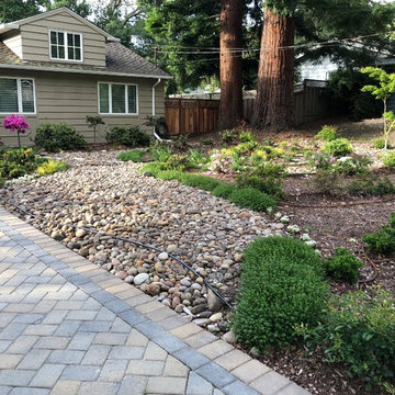 Front Yard Slow and Patient Remodel
