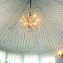 Circus