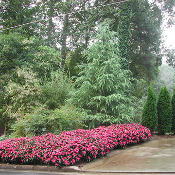 The Joy of Plants!