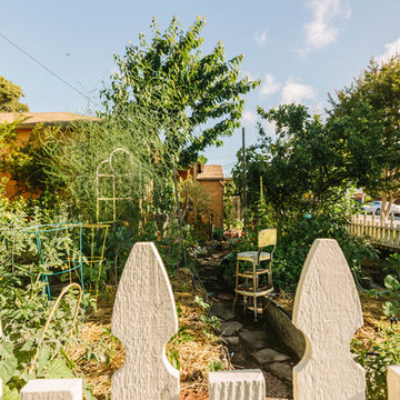 Urban Homesteading Berkeley