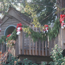 tree house