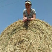 Meredith Favre's photo