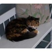 Bette Webb's photo