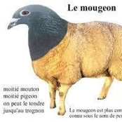 Christophe Michelot's photo