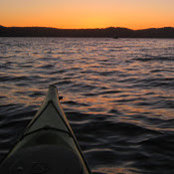 Julia Nelson's photo