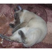 Terri Reddin's photo