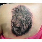Karen Murelli's photo