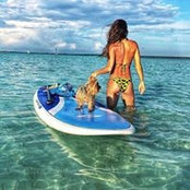 Pamela Trueba's photo