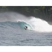 Robert Young's photo