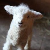 Erica King's photo