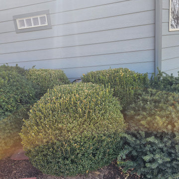 Newton Firebox Flowerbed