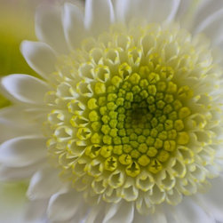 Photos for canvas prints/wall decor - Products