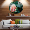 Red And Orange Rose Flower Close-Up, Floral Round Wall Art, 11"