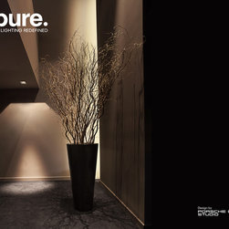 apure showroom miami - Recessed Lighting