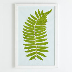Perennial Fern Print - Hawaiian - Artwork