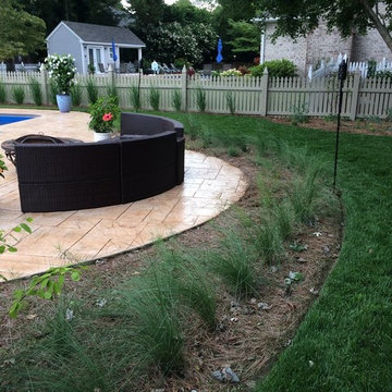 Backyard Habitat Oasis