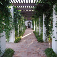 trellis