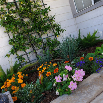 Frontyard