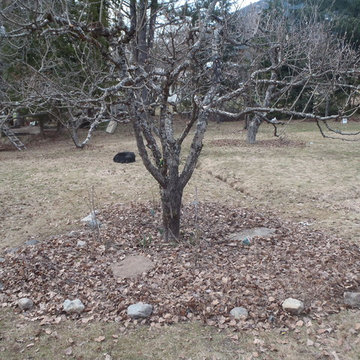 Blewett Acres Orchard & Edible Garden