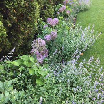English Gardens
