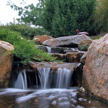 Ponds