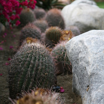 Palm Desert Residence