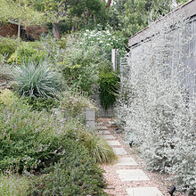 Landscape Design