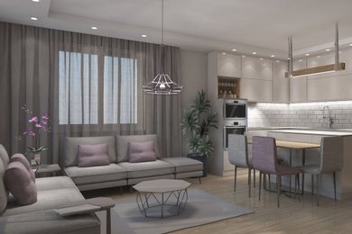 Conceptual design for apartment