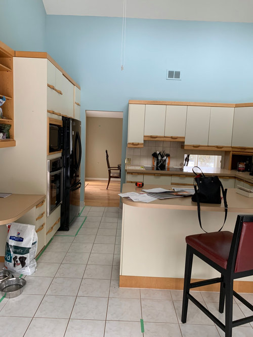 HelpTotal kitchen remodel and where to put sink on island?