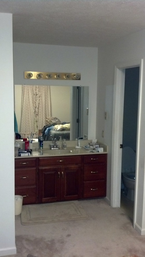 help with bathroom sink and vanity located in master bedroom