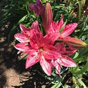 Paula Wood's photo
