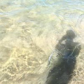 Carrie Higginbotham's photo