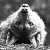 Elise Lugeon's photo