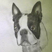 Debbie McNeice's photo